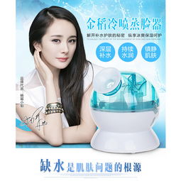 金稻蒸脸器KD-23316 秋冬护肤的冷热双效神器